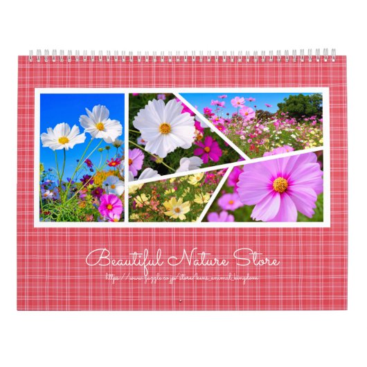 Cosmos カレンダー (裏面)