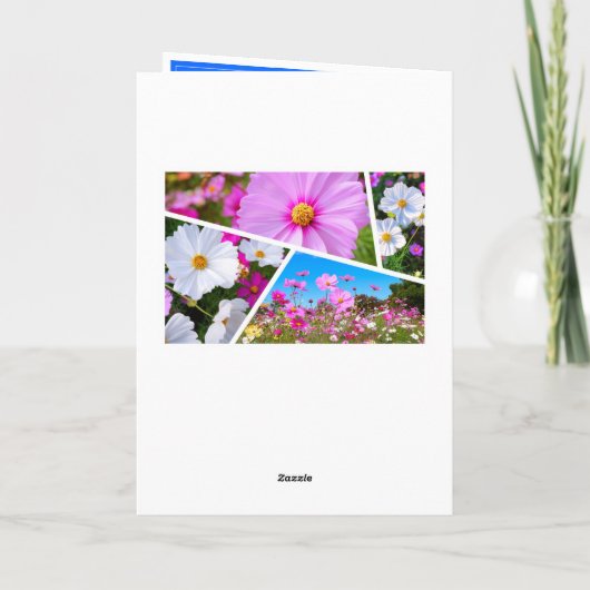 Cosmos カード (裏面)