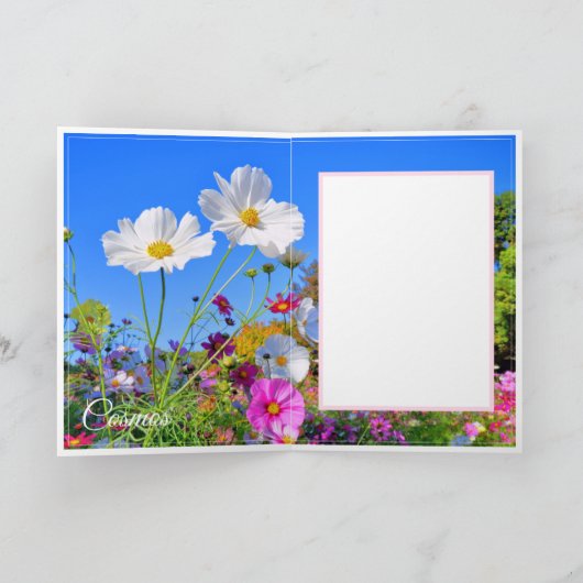 Cosmos カード (内部)