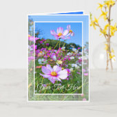 Cosmos カード (黄色い花)