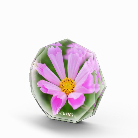 Cosmos フォトブロック (右)