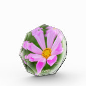 Cosmos フォトブロック (左)