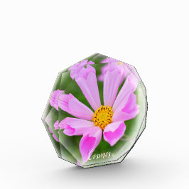 Cosmos フォトブロック