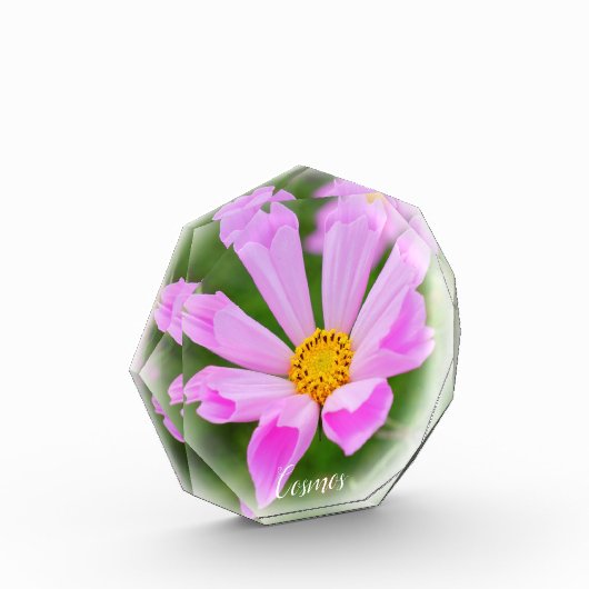 Cosmos フォトブロック (左)