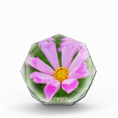 Cosmos フォトブロック (正面)