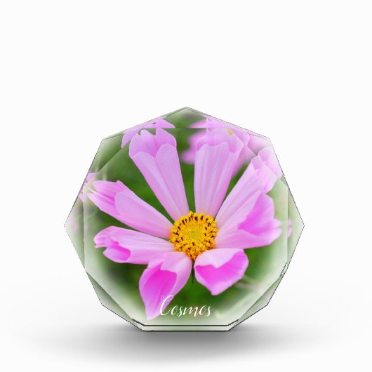 Cosmos フォトブロック (正面)