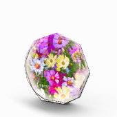 Cosmos フォトブロック (右)