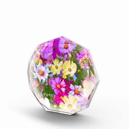 Cosmos フォトブロック (右)