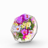 Cosmos フォトブロック (左)