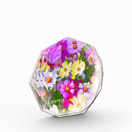 Cosmos フォトブロック