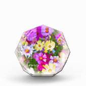 Cosmos フォトブロック (正面)