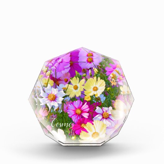 Cosmos フォトブロック (正面)