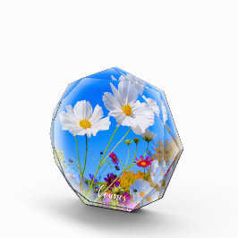 Cosmos フォトブロック