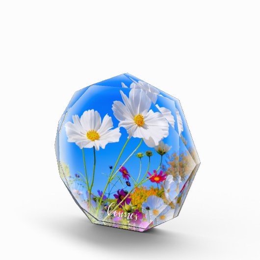 Cosmos フォトブロック (右)