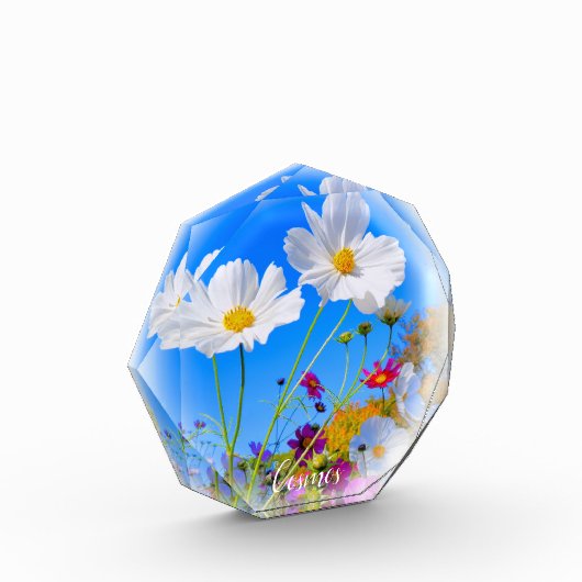 Cosmos フォトブロック (左)