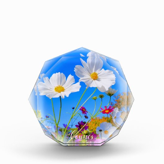 Cosmos フォトブロック (正面)