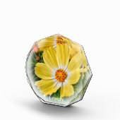 Cosmos フォトブロック (右)