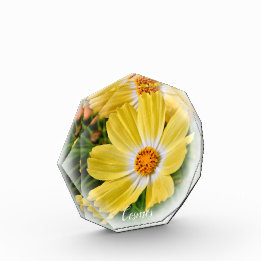 Cosmos フォトブロック