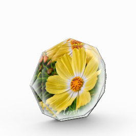 Cosmos フォトブロック