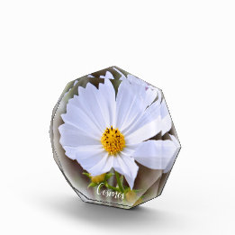 Cosmos フォトブロック