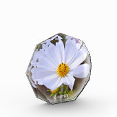 Cosmos フォトブロック (左)