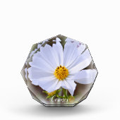 Cosmos フォトブロック (正面)