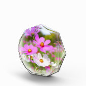 Cosmos フォトブロック (右)