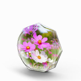 Cosmos フォトブロック