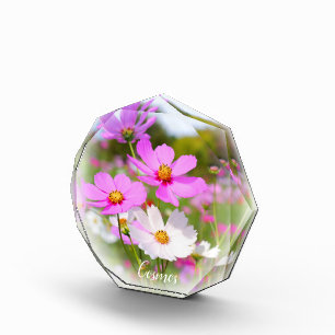 Cosmos フォトブロック