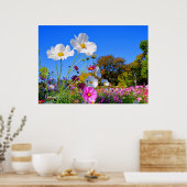 Cosmos [ポスター] ポスター (キッチン)