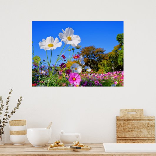 Cosmos [ポスター] ポスター (キッチン)