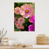 Cosmos [ポスター] ポスター (キッチン)