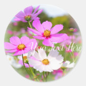 Cosmos ラウンドシール (正面)