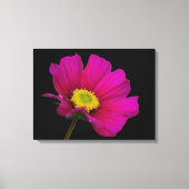Cosmos Flower Canvas Print キャンバスプリント (正面)