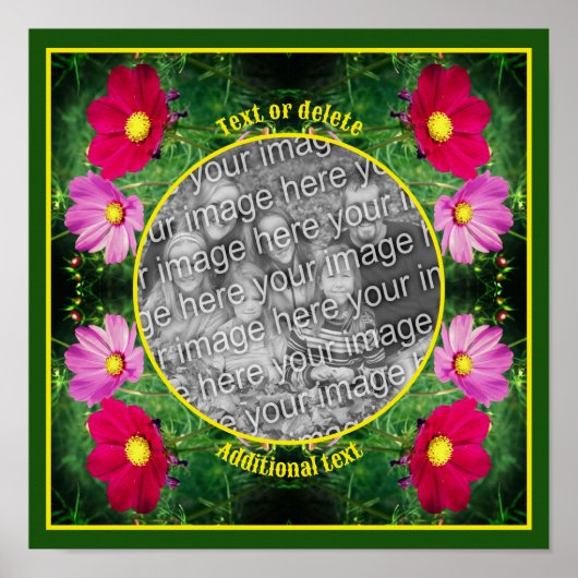 Cosmos Flowers Frame自分の写真を作成 ポスター (正面)