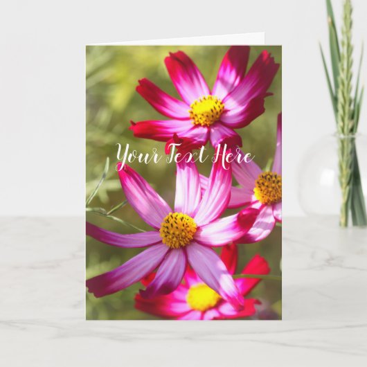Cosmos [Greeting Card] カード (正面)