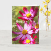 Cosmos [Greeting Card] カード (黄色い花)