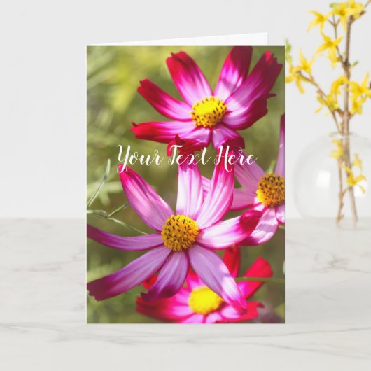 Cosmos [Greeting Card] カード (黄色い花)