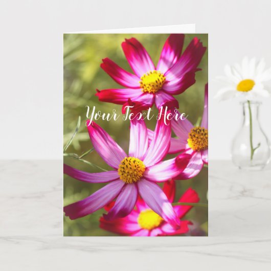Cosmos [Greeting Card] カード (小さな植物)