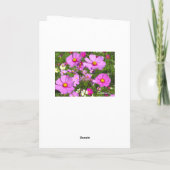 Cosmos [Greeting Card] カード (裏面)