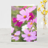 Cosmos [Greeting Card] カード (黄色い花)