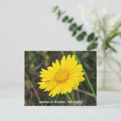 Cosmos with Beeはがき ポストカード (スタンド正面)