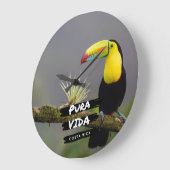 Costa Rica Pura Vida Toucan写真 ラージ壁時計 (傾斜)