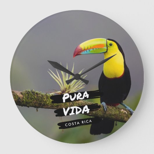 Costa Rica Pura Vida Toucan写真 ラージ壁時計 (正面)