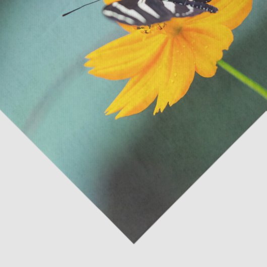 Costa Rica  - Zebra Longwing Butterfly 薄葉紙 (詳細)