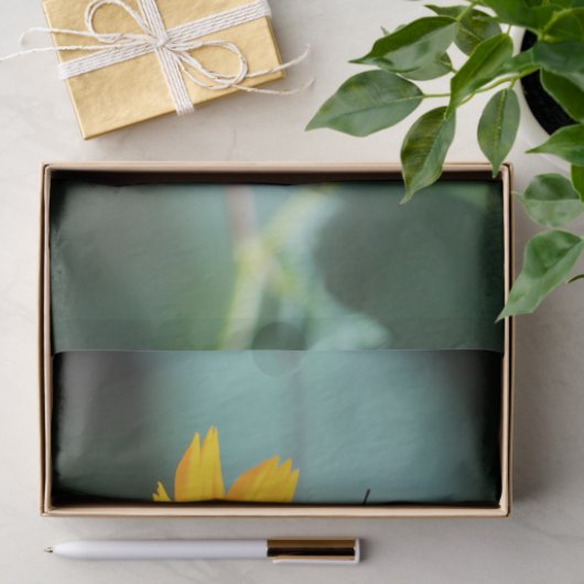 Costa Rica  - Zebra Longwing Butterfly 薄葉紙 (ギフト)