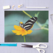 Costa Rica - Zebra Longwing Butterfly 薄葉紙 (クラフト)