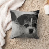 Costomizableはペット写真の装飾用クッションを加えます クッション (ブランケット)