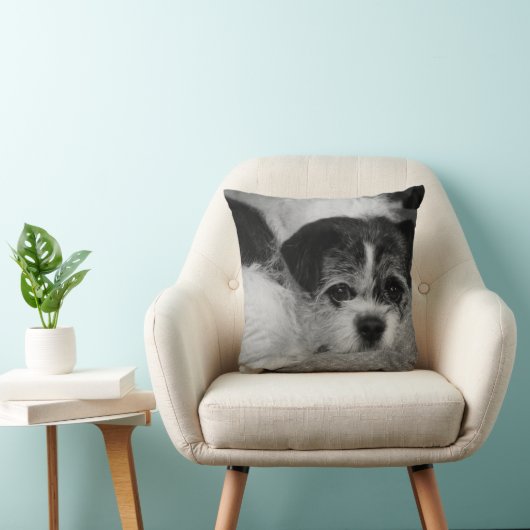Costomizableはペット写真の装飾用クッションを加えます クッション (椅子)