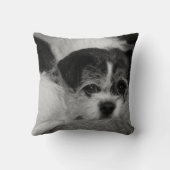 Costomizableはペット写真の装飾用クッションを加えます クッション (裏面)